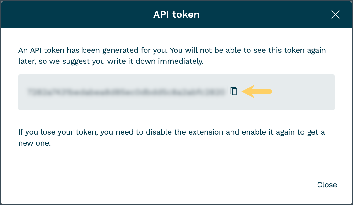 API Token display