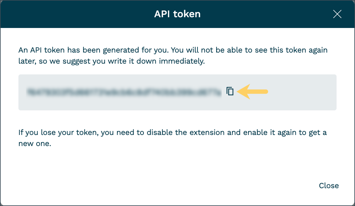API token display