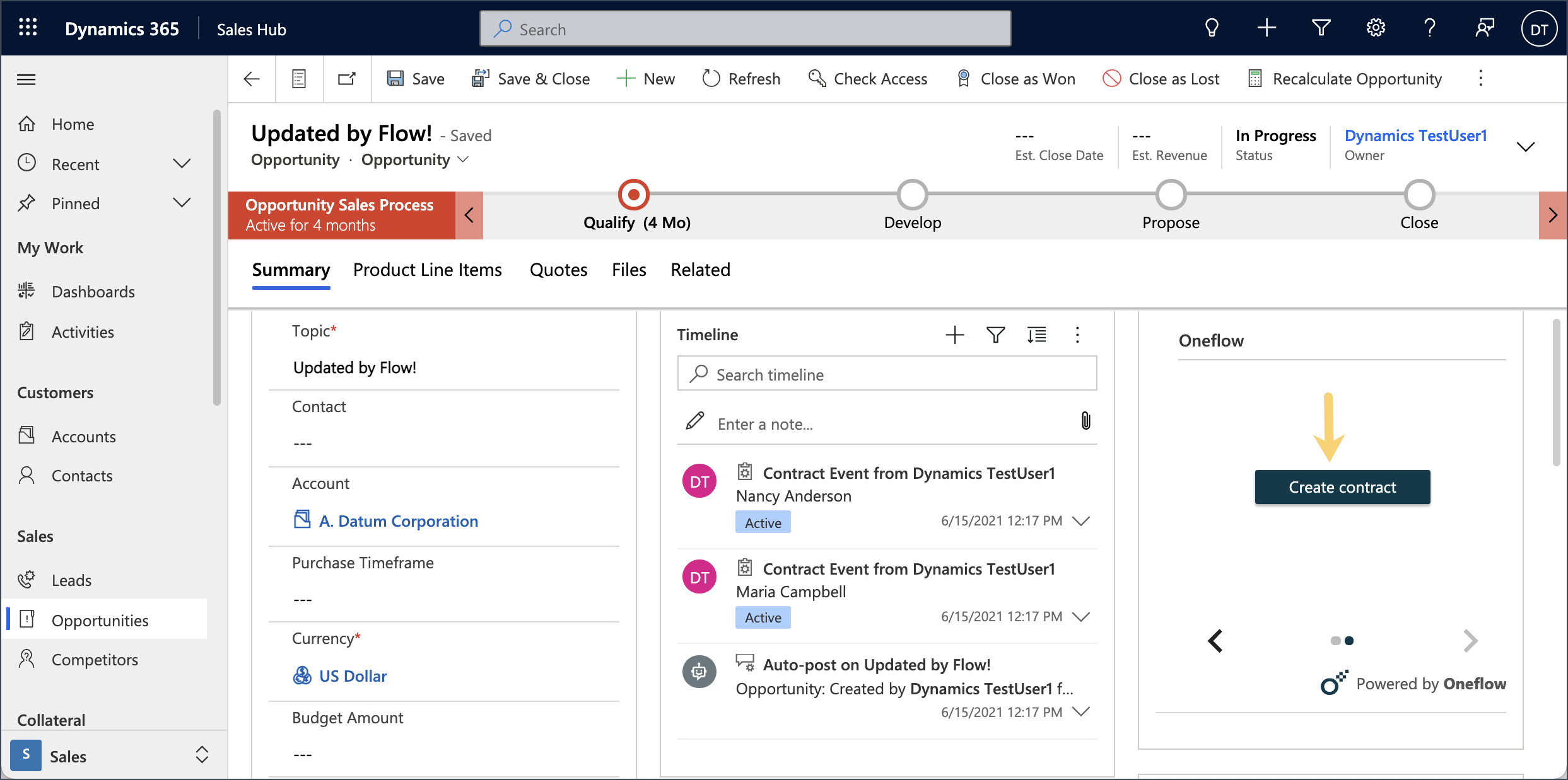 Sales Hub Custom Entity Record
