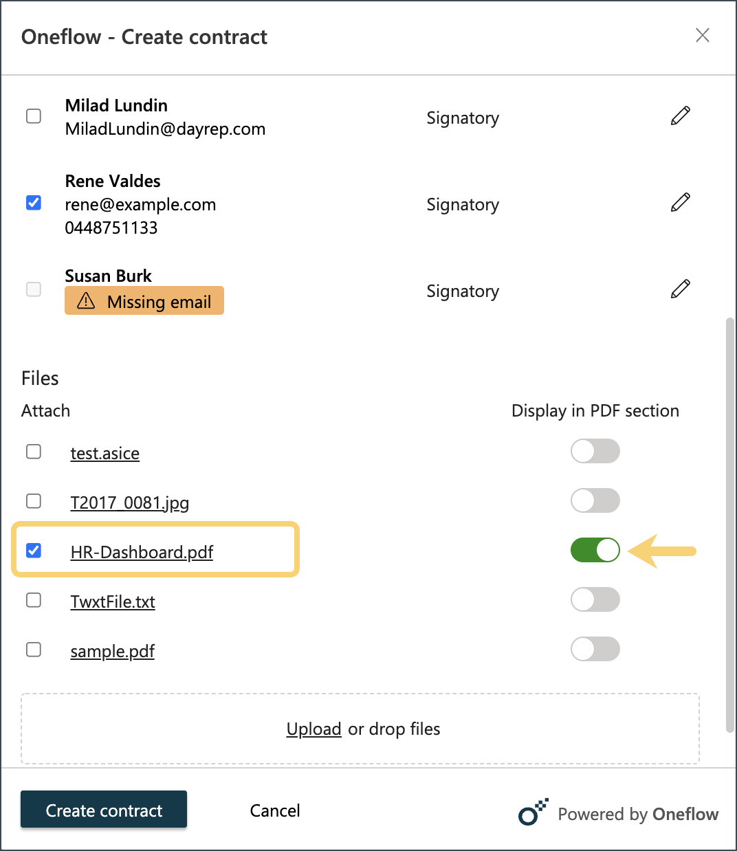 Display in PDF Section Option